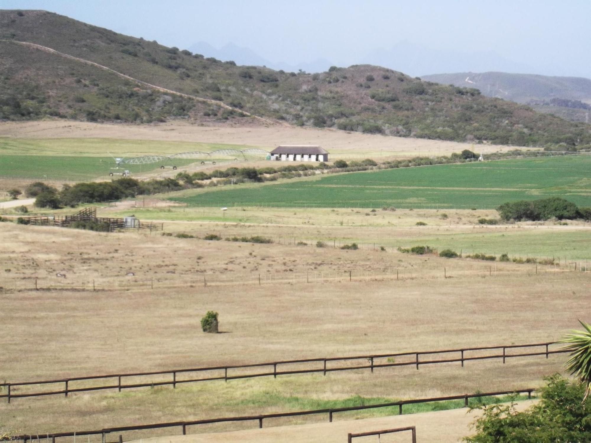 Outeniquabosch Lodge Hartenbos Exterior foto